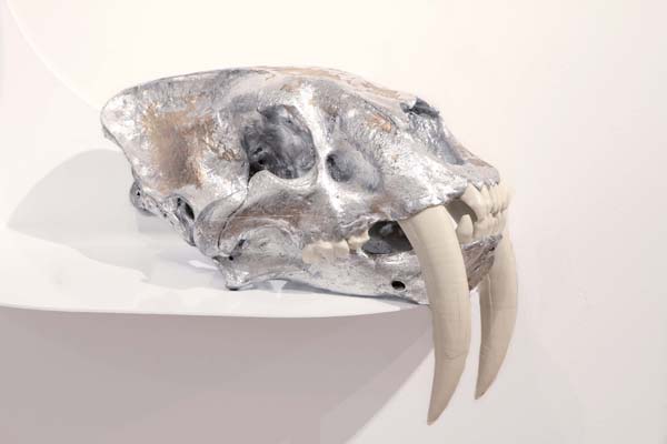 <h3> E.V. DAY</h3>
						<h4><em>Semi-Feral Skull I</em></h4>
						2014</br> 
						Resin saber-tooth skull, silver leaf</br>
						9 x 9 x 14 inches