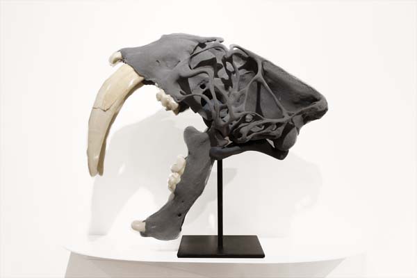 <h3> E.V. DAY</h3>
                        <h4><em>Semi-Feral Skull II</em></h4>
                        2014</br>
                        Resin saber-tooth skull, reflective paint, metal stand</br>
                        12 x 9 x 14 inches