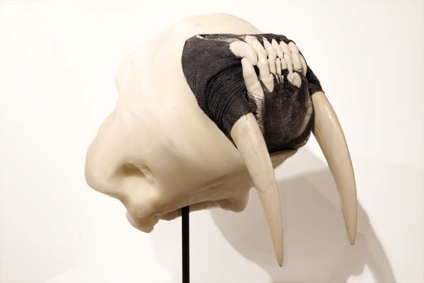 <h3> E.V. DAY</h3>
                        <h4><em>Semi-Feral Skull IV</em></h4>
                        2014</br>
                        Resin saber-tooth skull, stocking, elastic bandage, <br />
						reflective paint, metal stand</br> 
                        14 x 8 x 5 inches