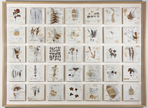 <h3>MICHELLE STUART</h3>
						<h4><em>Extinct</em></h4>
						1995 - 1997</br> 
						Plants seeds, hand-printed rice paper, and pine supports</br>
						70 x 95 x 5 inches</br>
                        